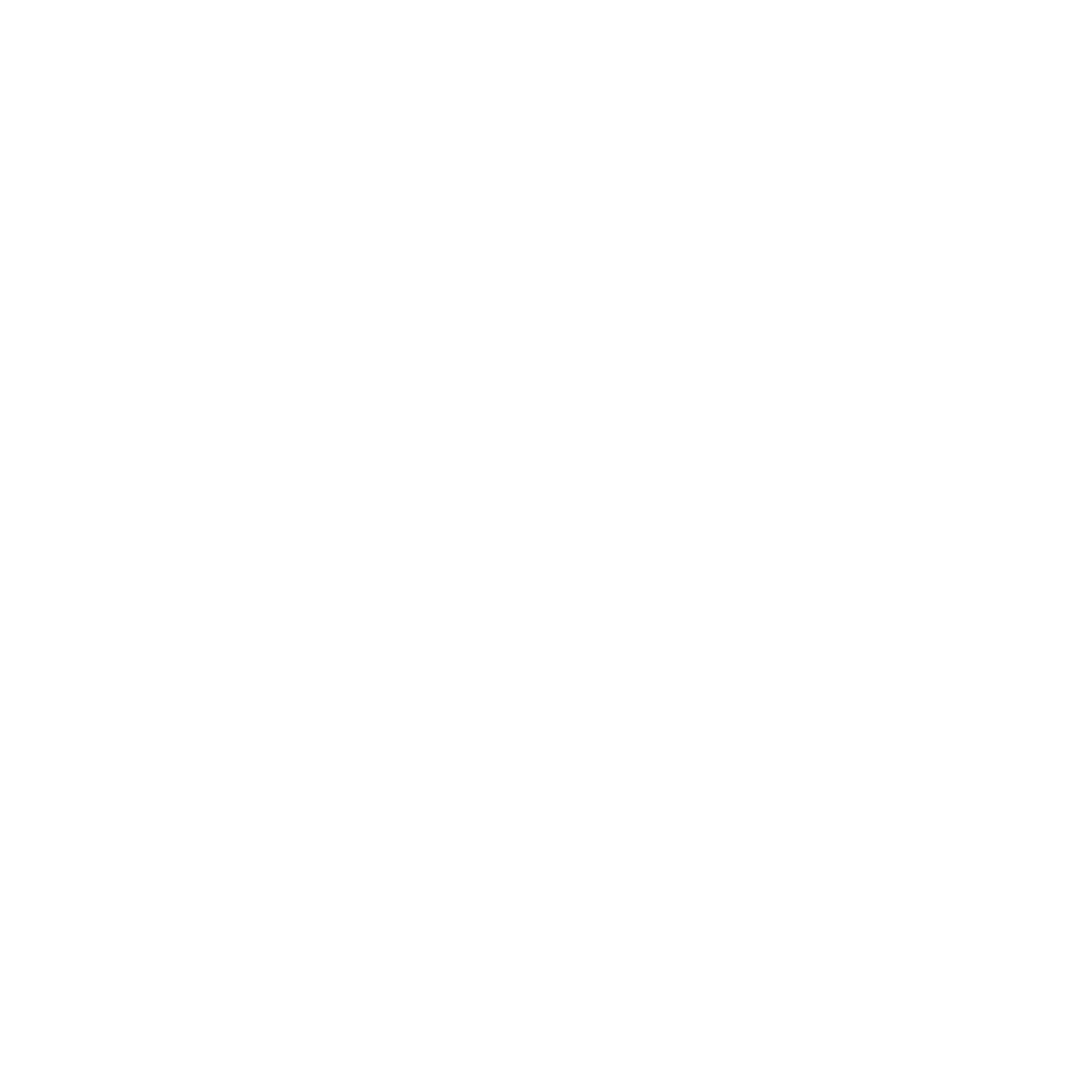 noe-sport